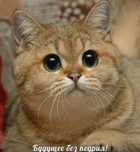 Игорь Савчук