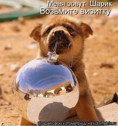 Оксана Миленькая