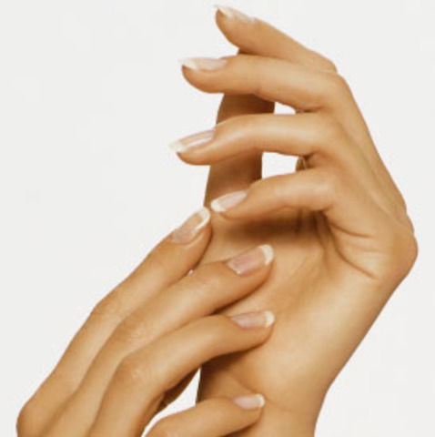 Елена Нижниченко