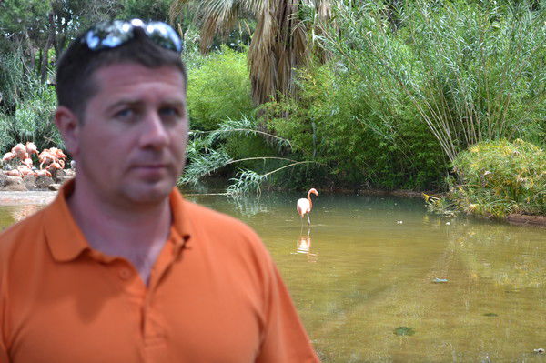 Дмитрий Кочетков