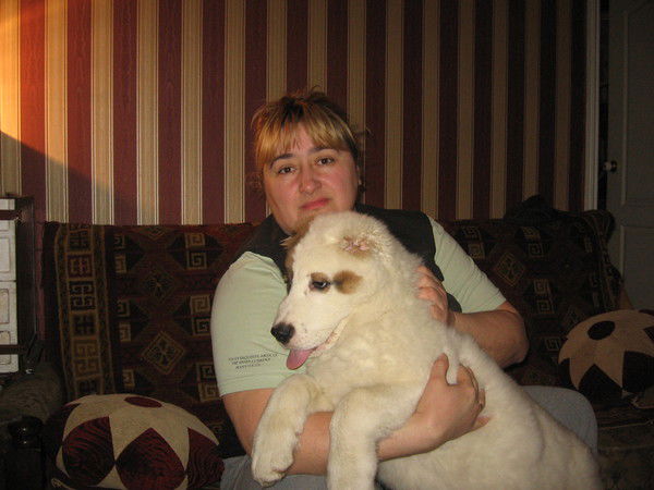 Саша-Ира Дембский