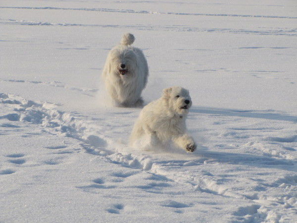 Галина Морозенко