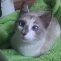 Евгений Прасеков