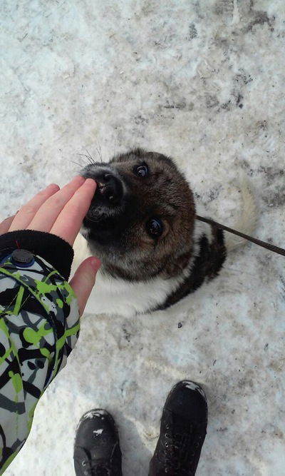 Настя Лоцман