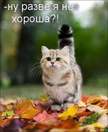 Ирина Позднякова