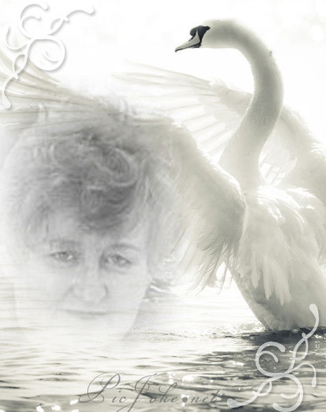 Светлана Дорофеева