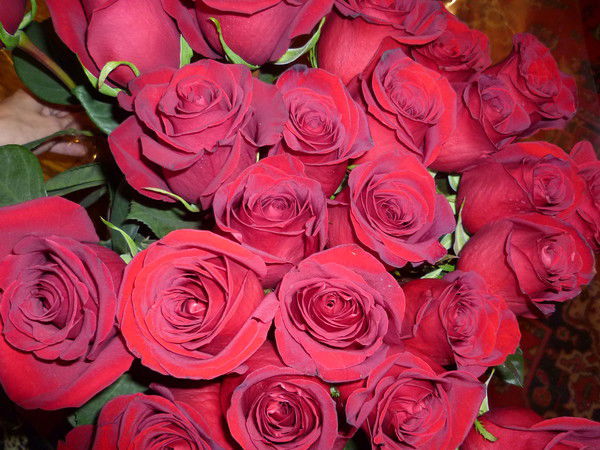 Татьяна Сиохина