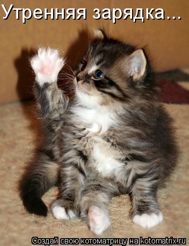 Ирина Грибова