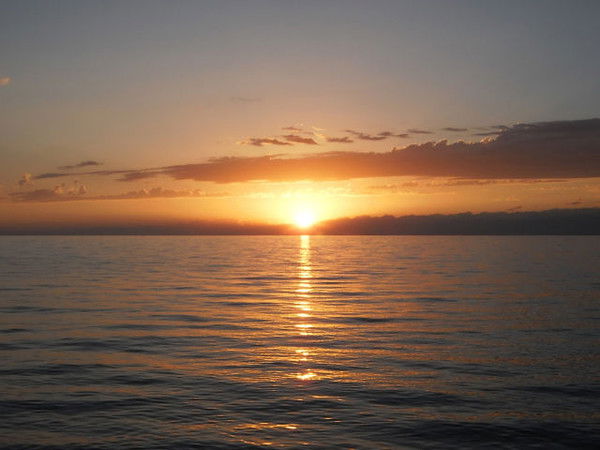 Наталья Сухинина