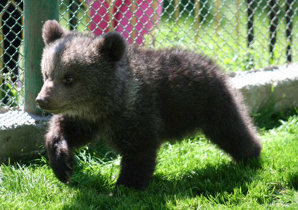 Евгений Сарданов