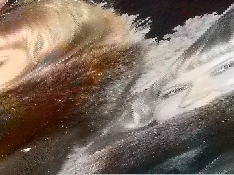 Елена Герасимова