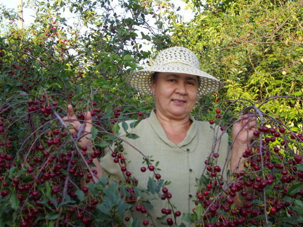 Менжамал Рахметова