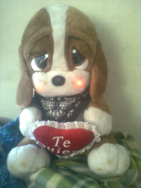 Марина Шайдурова