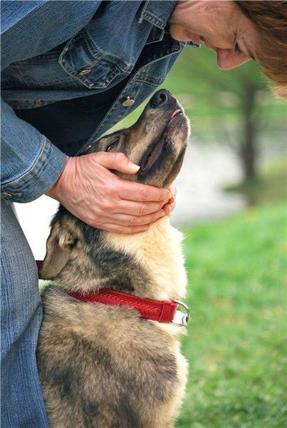 Ирина Аверьянова