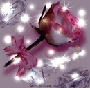 Светлана Немцева