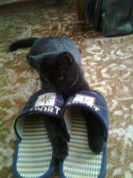 Константин Крахмальский