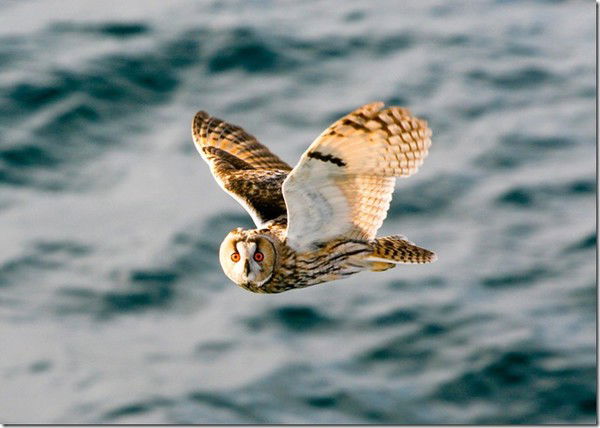 Светлана Кириченко