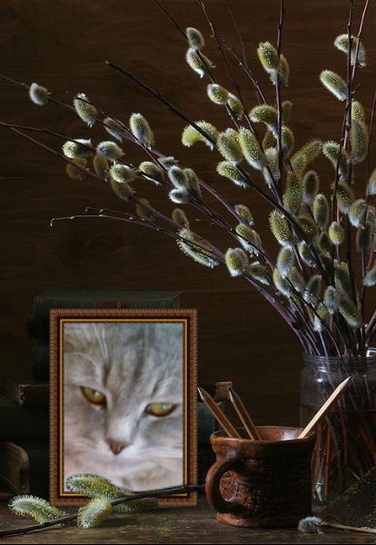 Ирина Ерина