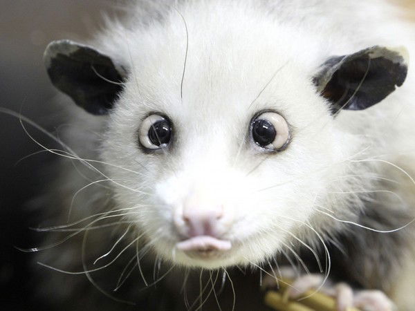 Наталия Хромова