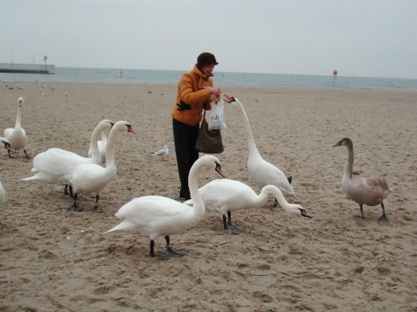 Антонина Приходько