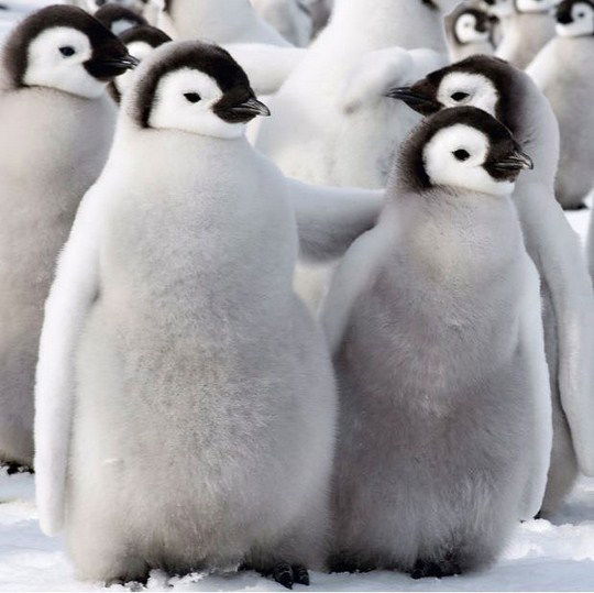 Катюша Профорова