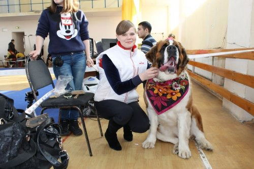 Влад Владленов