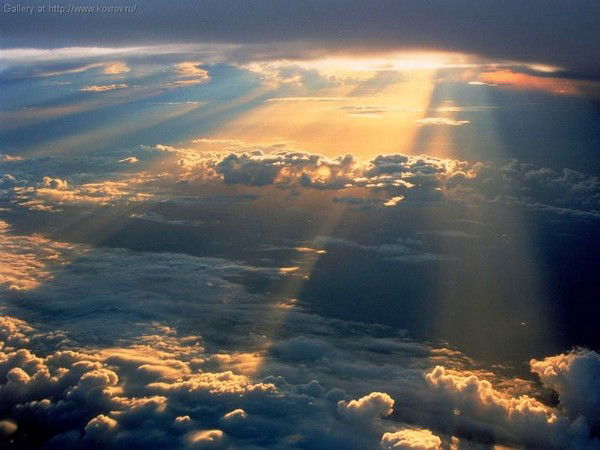 Света Ширяева