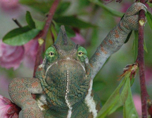 Cтас Загайнов