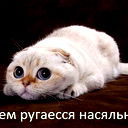 Саша Романенко
