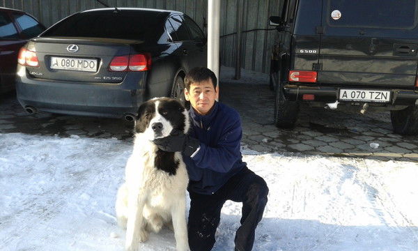 Бауыржан ****