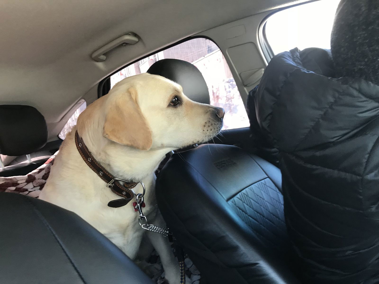 Виктор Шевчук