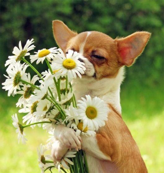 Галина Якубова