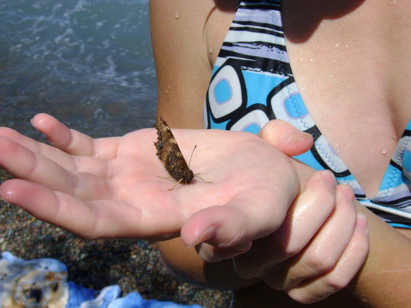 Карина Кинегопуло