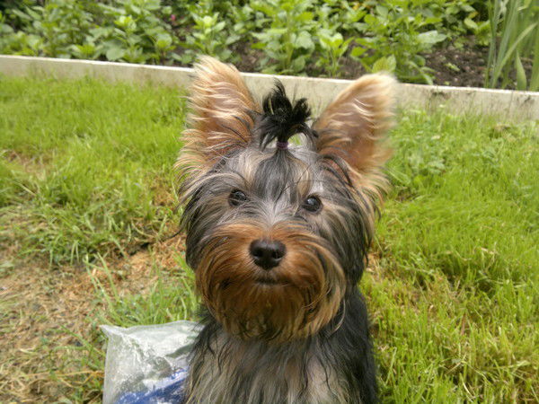 Анюта Не Скажу