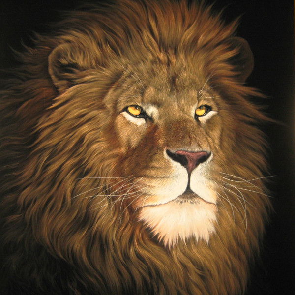 Евгений Сергеев