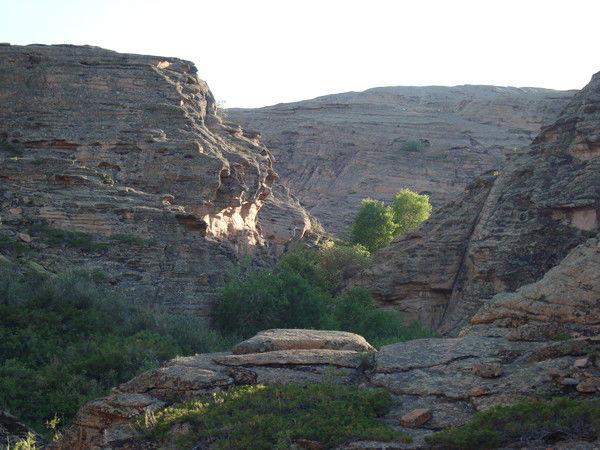 Фарид Гисматулин