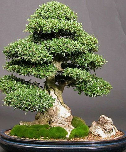 Асхат Каримов