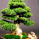 Асхат Каримов