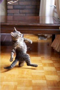 Александр Соколов