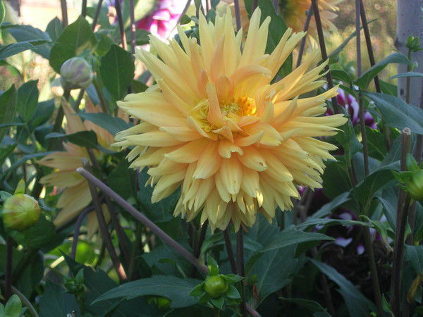 Людмила Вапрова