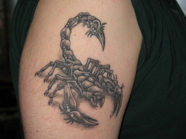 Алексей Шабаршин