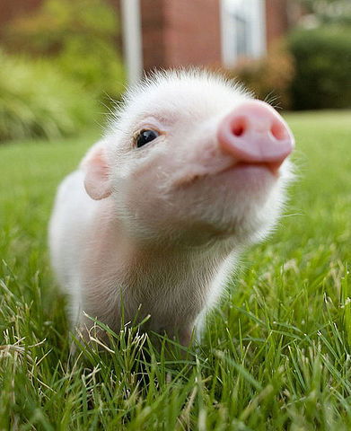 Галина Васькина(Попова)