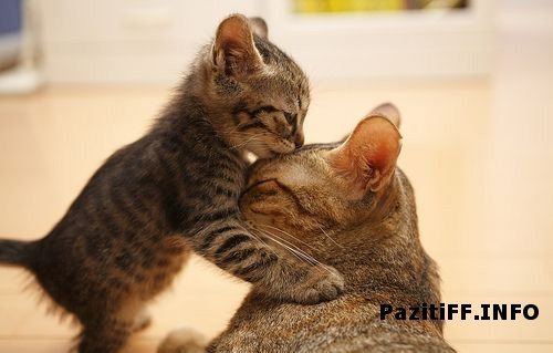 Леночка Сухорукова