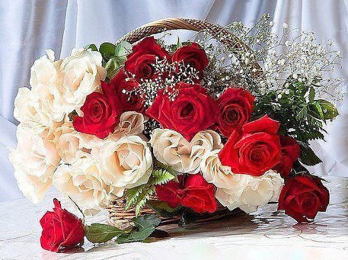 Татьяна Белобородова