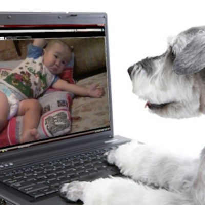 Салта Токаева