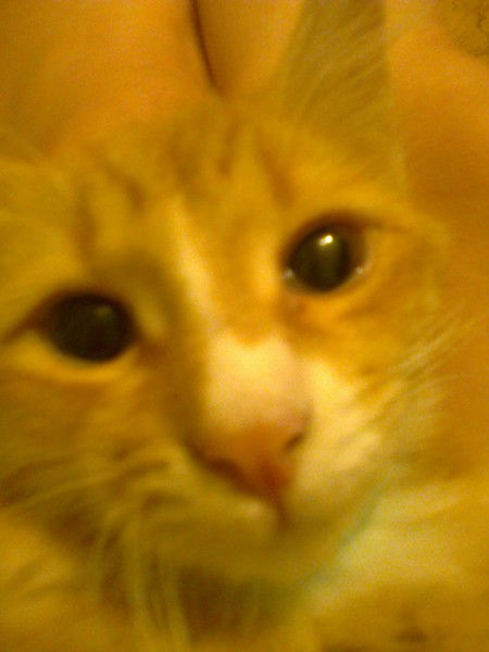 Лилия Шакурьянова