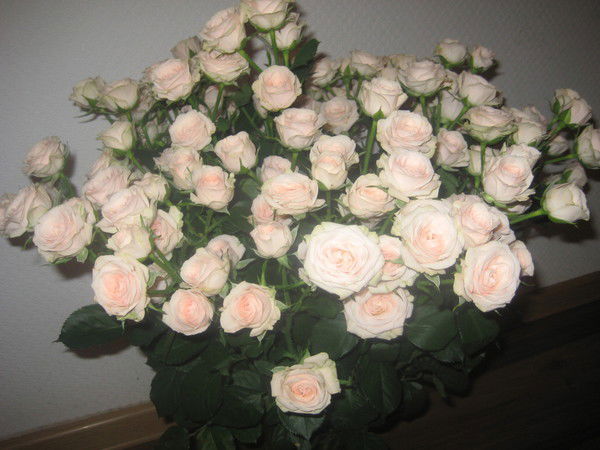 Людмила Парусова