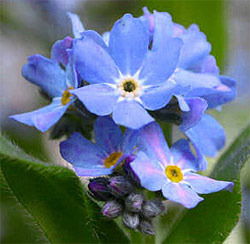 Нина Загидуллина