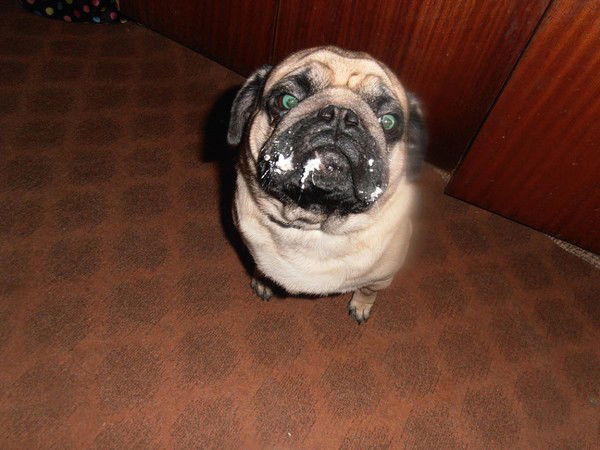 Жанна Якимчук