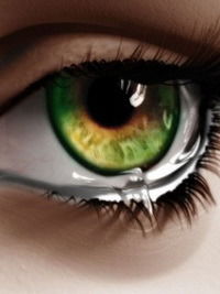 Анастасия Соколова